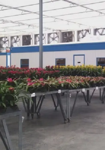 Virgin EPS was used to solve a water leak problem