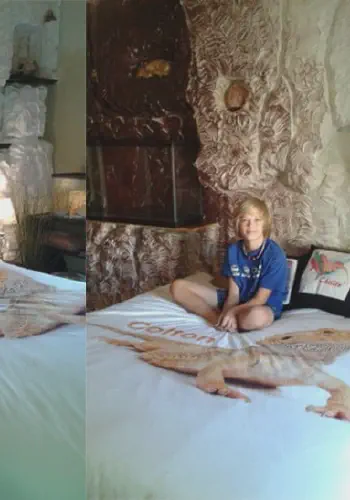 Styrofoam used to carve lizard cages