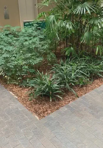 Geofoam to Fill Part of the Atrium