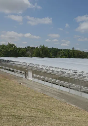 EPS Foam Insulation for Greenhouse Concrete Slab